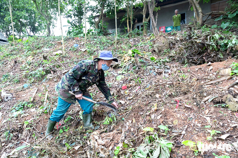 Ông Trần Loát tranh thủ phát mảnh đất dốc làm vườn tăng gia Ông Trần Loát tranh thủ phát mảnh đất dốc làm vườn tăng gia