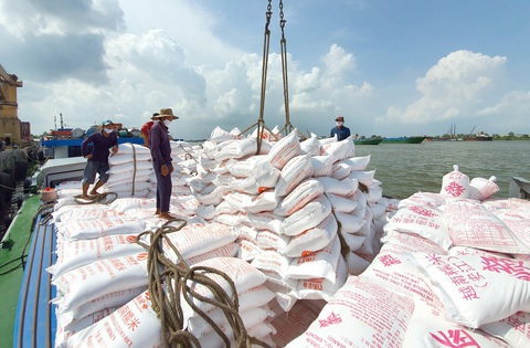 Gạo Việt đang ngày càng nâng tầm giá trị cao và tạo nên thương hiệu uy tín trên thế giới - Ảnh: CHÍ QUỐC Gạo Việt đang ngày càng nâng tầm giá trị cao và tạo nên thương hiệu uy tín trên thế giới - Ảnh: CHÍ QUỐC