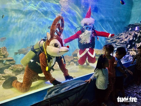 Du khách thích thú với ông già Noel, tuần lộc dưới thủy cung ở Viện Hải dương học- Ảnh 1. Các em nhỏ thích thú khi chụp ảnh cùng với ông già Noel, tuần lộc dưới nước