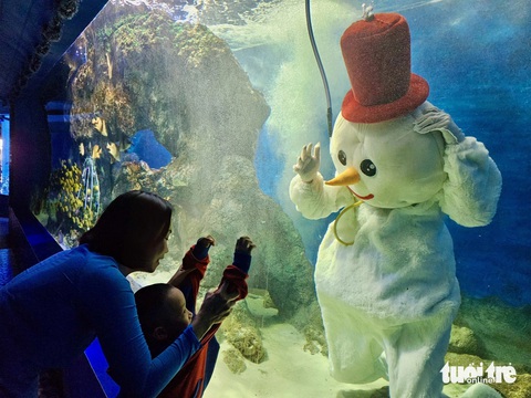 Du khách thích thú với ông già Noel, tuần lộc dưới thủy cung ở Viện Hải dương học- Ảnh 3. Người tuyết vẫy tay với các em nhỏ