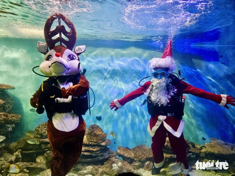 Du khách thích thú với ông già Noel, tuần lộc dưới thủy cung ở Viện Hải dương học- Ảnh 4. Để có màn biểu diễn dưới nước ấn tượng, các kỹ thuật viên phải tập trước cả tháng