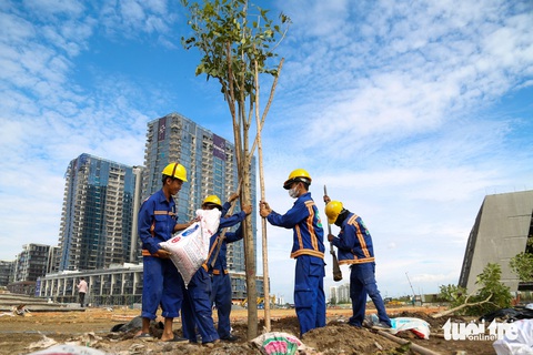 Hướng dương bờ Thủ Thiêm ven sông Sài Gòn bắt đầu bung nở- Ảnh 7. Cải tạo cảnh quan ven sông Sài Gòn phía Thủ Thiêm thành hình hài tươm tất là một điểm nhấn của TP.HCM nói chung và thành phố Thủ Đức nói riêng - Ảnh: PHƯƠNG QUYÊN