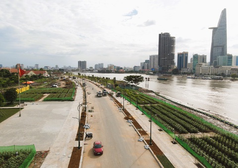 Hướng dương bờ Thủ Thiêm ven sông Sài Gòn bắt đầu bung nở- Ảnh 8. Cách đây một tháng, khu vực này còn ngổn ngang lau sậy, đất đá, rác rến - Ảnh: LÊ PHAN