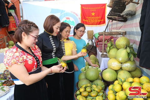 Xây dựng thương hiệu nông sản Phù Yên- Ảnh 1. Xây dựng thương hiệu nông sản Phù Yên- Ảnh 1.