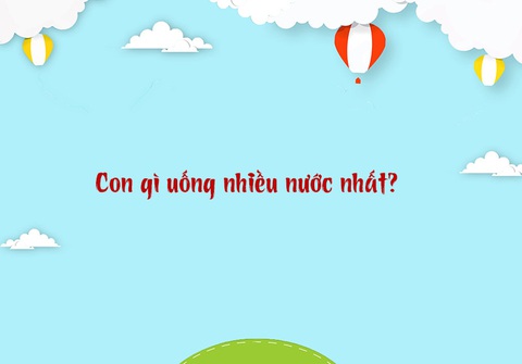 Câu đố hack não: Con gì đứng thì dùng chân, di chuyển thì dùng tay?- Ảnh 3. Câu đố hack não: Con gì đứng thì dùng chân, di chuyển thì dùng tay?- Ảnh 3.