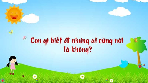 Câu đố hack não: Con gì đứng thì dùng chân, di chuyển thì dùng tay?- Ảnh 5. Câu đố hack não: Con gì đứng thì dùng chân, di chuyển thì dùng tay?- Ảnh 5.