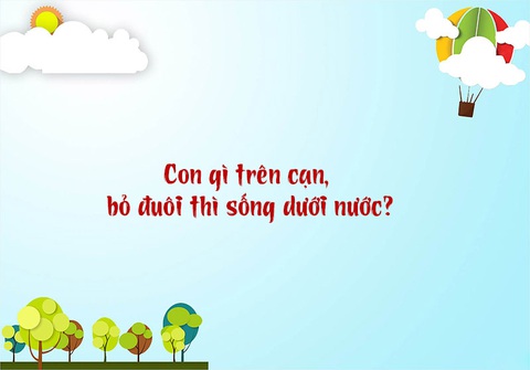 Câu đố hack não: Con gì đứng thì dùng chân, di chuyển thì dùng tay?- Ảnh 7. Câu đố hack não: Con gì đứng thì dùng chân, di chuyển thì dùng tay?- Ảnh 7.