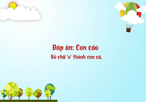 Câu đố hack não: Con gì đứng thì dùng chân, di chuyển thì dùng tay?- Ảnh 8.