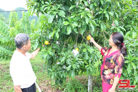 Ứng dụng công nghệ cao vào sản xuất nông nghiệp- Ảnh 2. Ứng dụng công nghệ cao vào sản xuất nông nghiệp- Ảnh 2.