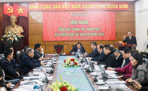 Nhập khẩu chưa phục hồi, thủy sản đặt mục tiêu xuất khẩu 9,5 tỉ USD năm 2024- Ảnh 1. Năm 2024, ngành thủy sản đặt mục tiêu xuất khẩu 9,5 tỉ USD - Ảnh: C.TUỆ