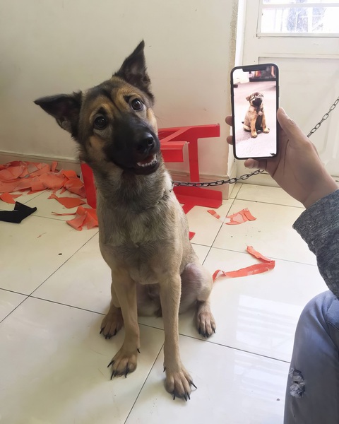 Ảnh vui 22-12: 'Tính ra tui đẹp trai từ bé luôn đó sen'- Ảnh 1. Tuy đẹp trai nhưng bộ nail hơi sợ nha!