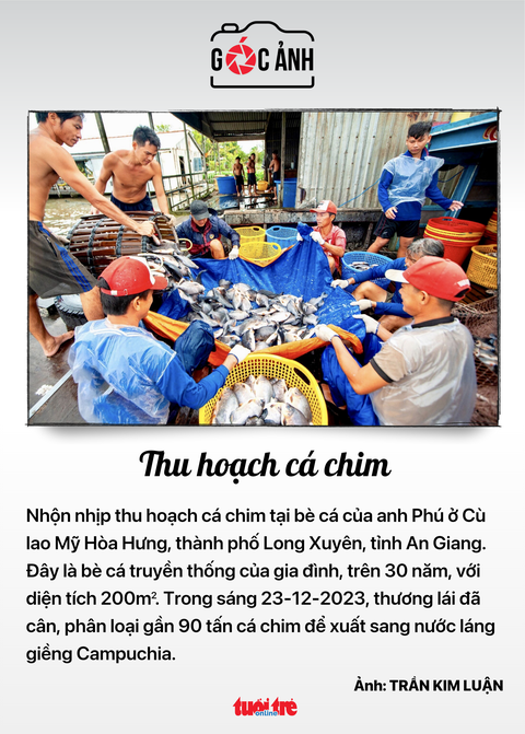 Tin tức sáng 24-12: Ưu tiên phát triển 'siêu cảng' Cần Giờ; Thu 1,7 tỉ USD từ xuất khẩu cá tra- Ảnh 7. Tin tức sáng 24-12: Ưu tiên phát triển 'siêu cảng' Cần Giờ; Thu 1,7 tỉ USD từ xuất khẩu cá tra- Ảnh 7.