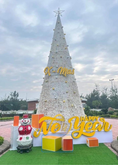 Cây thông vỏ sò tại một khách sạn nghỉ dưỡng tại Hà Tĩnh - Ảnh: HOA TIÊN Cây thông vỏ sò tại một khách sạn nghỉ dưỡng ở Hà Tĩnh - Ảnh: HOA TIÊN