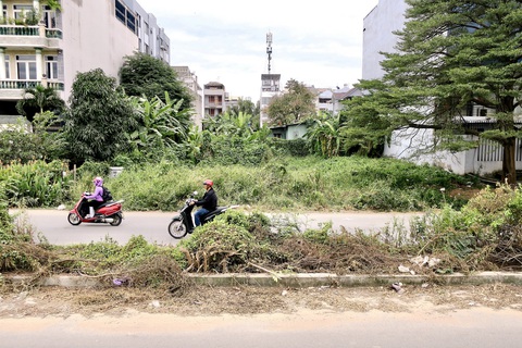 200 dự án chưa bàn giao hạ tầng ở TP Thủ Đức: Không quyết liệt, không thể tháo gỡ- Ảnh 3. Trục đường chính (410) khu dân cư Bắc Rạch Chiếc (phường Phước Long A, TP Thủ Đức) cây cối mọc um tùm - Ảnh: T.T.D.