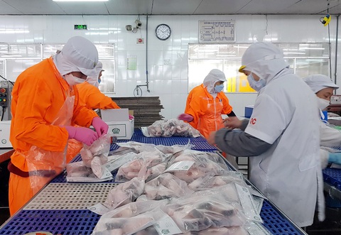 3 động lực tăng trưởng của Việt Nam năm 2024- Ảnh 2. Dây chuyền sản xuất sản phẩm cá xuất khẩu tại tỉnh An Giang - Ảnh: BỬU ĐẤU