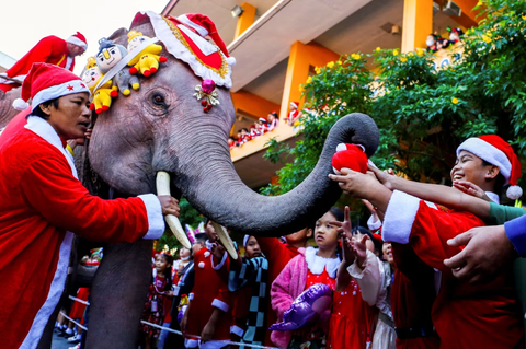 Ông già Noel cưỡi xe máy, lên rừng xuống bể phát quà Giáng sinh- Ảnh 3. Học sinh nhận quà từ một chú voi mặc trang phục ông già Noel trước lễ Giáng sinh tại một trường học ở thành phố Ayutthaya, Thái Lan vào ngày 22-12 - Ảnh: REUTERS