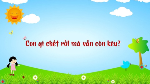 Câu đố hack não: Con gì lúc sinh ra là cái, lớn lên thành đực?- Ảnh 3. Câu đố hack não: Con gì lúc sinh ra là cái, lớn lên thành đực?- Ảnh 3.