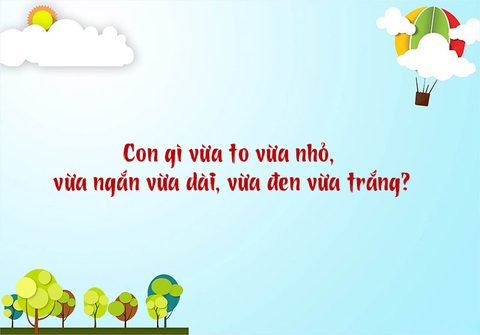 Câu đố hack não: Con gì lúc sinh ra là cái, lớn lên thành đực?- Ảnh 7. Câu đố hack não: Con gì lúc sinh ra là cái, lớn lên thành đực?- Ảnh 7.
