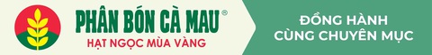 Mời nông dân vào lớp dạy livestream bán đặc sản- Ảnh 2. Mời nông dân vào lớp dạy livestream bán đặc sản- Ảnh 2.