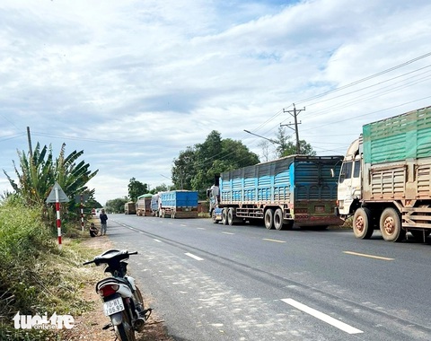 Xe chở nông sản xếp hàng dài tại khu vực cửa khẩu quốc tế Xa Mát, tỉnh Tây Ninh - Ảnh: ĐỨC TRONG Xe chở nông sản xếp hàng dài tại khu vực cửa khẩu quốc tế Xa Mát, tỉnh Tây Ninh - Ảnh: ĐỨC TRONG
