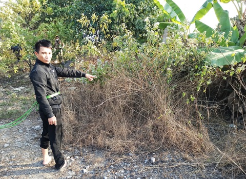 Khởi tố bị can vụ hài cốt trong bể nước bỏ hoang- Ảnh 1. Nghi phạm Bùi Trọng Thành tại buổi thực nghiệm hiện trường quá trình gây án liên quan vụ hài cốt trong bể nước bỏ hoang ở huyện Thủy Nguyên, TP Hải Phòng - Ảnh: T. LÊ
