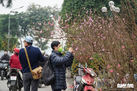Chợ hoa Tết trên đường Lạc Long Quân (quận Tây Hồ, Hà Nội) - Ảnh: NGUYỄN HIỀN Chợ hoa Tết trên đường Lạc Long Quân, quận Tây Hồ, Hà Nội - Ảnh tư liệu: NGUYỄN HIỀN