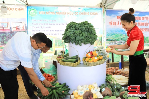 Vân Hồ nâng tầm sản phẩm đặc sản địa phương- Ảnh 2. Vân Hồ nâng tầm sản phẩm đặc sản địa phương- Ảnh 2.