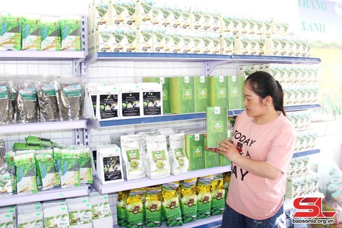 Vân Hồ nâng tầm sản phẩm đặc sản địa phương- Ảnh 3. Vân Hồ nâng tầm sản phẩm đặc sản địa phương- Ảnh 3.