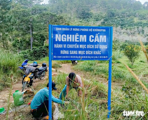 Ngành chức năng cấm biển hiệu nghiêm cấm xâm phạm hành lang Ban Quản lý rừng phòng hộ Krông Pha lắp đặt bảng cấm xâm phạm đất lâm nghiệp - Ảnh: DUY NGỌC
