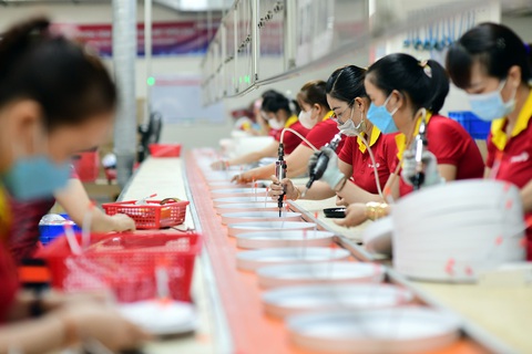 Chạy vạy tiền thưởng Tết cho công nhân- Ảnh 4. Hầu hết các doanh nghiệp đã có phương án thưởng Tết và một số doanh nghiệp tăng thưởng dù kinh tế vẫn còn khó khăn - Ảnh: Q.ĐỊNH