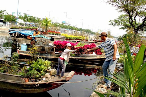 TP.HCM sẽ mua hoa không bán được của tiểu thương Bến Bình Đông trang trí đường hoa- Ảnh 1. TP.HCM sẽ mua hoa ế của tiểu thương Bến Bình Đông để trang trí đường hoa - Ảnh: TẤN ĐỨC