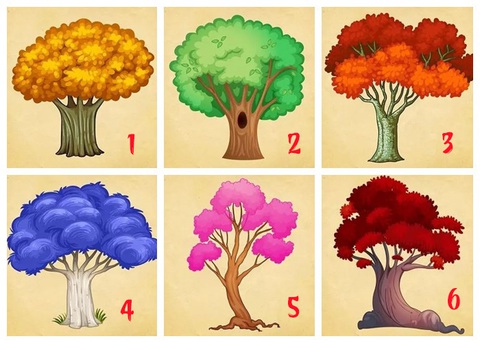 Quiz: Điều thú vị gì đang chờ đợi bạn vào năm 2024?- Ảnh 1. Quiz: Điều thú vị gì đang chờ đợi bạn vào năm 2024?- Ảnh 1.