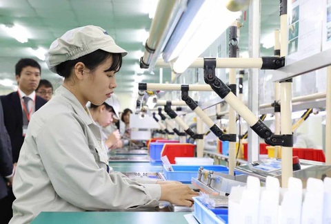 Doanh nghiệp thành lập mới tăng vọt nhưng vốn vào nền kinh tế giảm sâu, vì sao?- Ảnh 1. Số doanh nghiệp thành lập mới năm 2023 tập trung vào khu vực dịch vụ, quy mô nhỏ, trong khi số doanh nghiệp sản xuất rút lui khỏi thị trường lại tăng lên - Ảnh: Q.PH.
