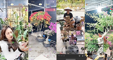 Không khí tưng bừng livestream bán hoa kiểng của các nhà vườn dịp Tết gần kề trên các trang Facebook, TikTok Không khí tưng bừng livestream bán hoa kiểng của các nhà vườn dịp Tết gần kề trên các trang Facebook, TikTok