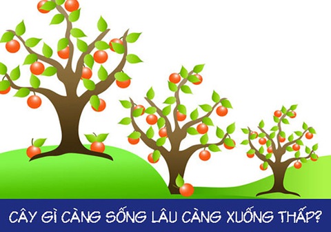 Câu đố hack não: Con gì không giống chó nhưng vẫn gọi là chó?- Ảnh 3. Câu đố hack não: Con gì không giống chó nhưng vẫn gọi là chó?- Ảnh 3.