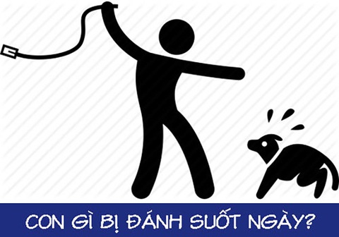 Câu đố hack não: Con gì không giống chó nhưng vẫn gọi là chó?- Ảnh 5. Câu đố hack não: Con gì không giống chó nhưng vẫn gọi là chó?- Ảnh 5.