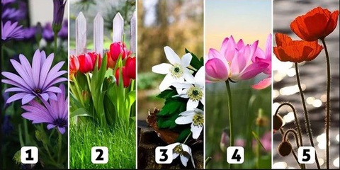 Quiz: Bạn thường che giấu nỗi buồn bằng cách nào?- Ảnh 1. Quiz: Bạn thường che giấu nỗi buồn bằng cách nào?- Ảnh 1.