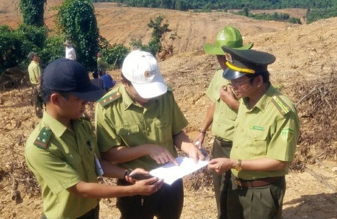 Nguyên chi cục trưởng Kiểm lâm tỉnh Quảng Trị bị khởi tố- Ảnh 1. Ông Tý (bìa phải) đi kiểm tra vụ phá rừng báo Tuổi Trẻ phản ánh khi đang đương chức chi cục trưởng Kiểm lâm Quảng Trị - Ảnh: Q.NAM