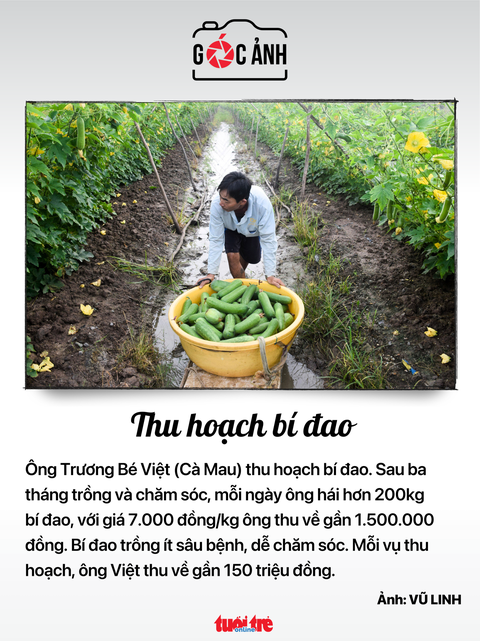 Tin tức sáng 3-12: Cấm xe nhiều đường ở quận 1; Ngân hàng được làm đại lý bán trái phiếu Chính phủ- Ảnh 8. Tin tức sáng 3-12: Cấm xe nhiều đường ở quận 1; Ngân hàng được làm đại lý bán trái phiếu Chính phủ- Ảnh 8.