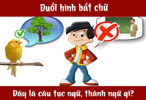 IQ cao có đoán được đây là câu tục ngữ, thành ngữ gì? (P14)- Ảnh 1. IQ cao có đoán được đây là câu tục ngữ, thành ngữ gì? (P14)- Ảnh 1.