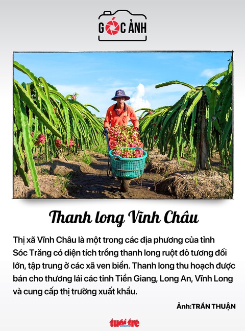 Tin tức sáng 4-12: Chủ tịch Quốc hội thăm Lào và Thái Lan; Phê duyệt quy hoạch Cần Thơ- Ảnh 5. Tin tức sáng 4-12: Chủ tịch Quốc hội thăm Lào và Thái Lan; Phê duyệt quy hoạch Cần Thơ- Ảnh 5.
