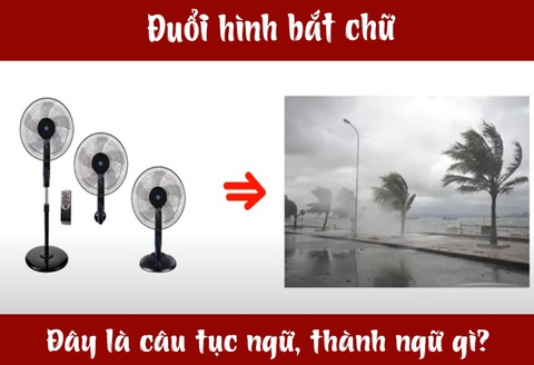 IQ cao có đoán được đây là câu tục ngữ, thành ngữ gì? (P14)- Ảnh 3. IQ cao có đoán được đây là câu tục ngữ, thành ngữ gì? (P14)- Ảnh 3.