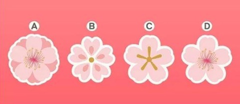 Quiz: Tính cách nào của bạn khiến người khác phái bị mê mẩn?- Ảnh 1. Quiz: Tính cách nào của bạn khiến người khác phái bị mê mẩn?- Ảnh 1.
