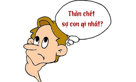 Câu đố hack não: Thần chết sợ con gì nhất?- Ảnh 1. Câu đố hack não: Thần chết sợ con gì nhất?- Ảnh 1.