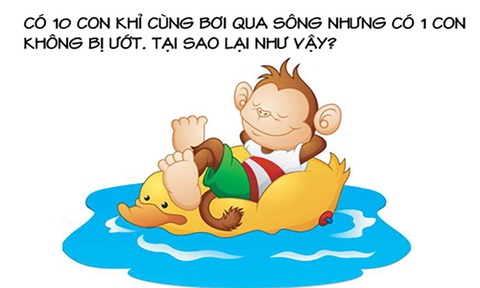 Câu đố hack não: Thần chết sợ con gì nhất?- Ảnh 5. Câu đố hack não: Thần chết sợ con gì nhất?- Ảnh 5.