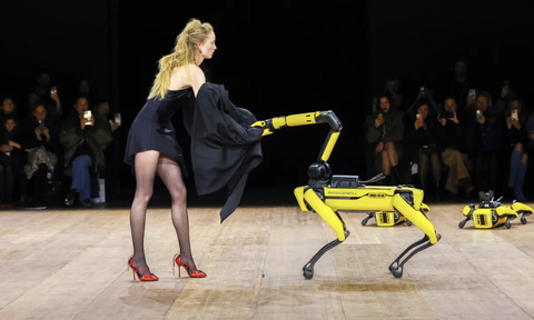 Spot Robot Spot cởi áo khoác giúp một nữ người mẫu - Ảnh: GETTY IMAGES