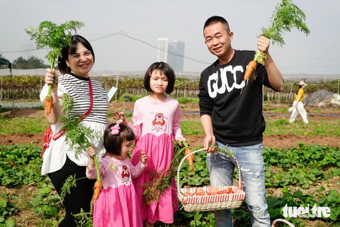 Gia đình chị Trương Thanh Loan (TP. Bắc Ninh) tranh thủ nghỉ lễ cho các bạn nhỏ đi trải nghiệm làm nông nghiệp - Ảnh: NGUYỄN HIỀN Gia đình chị Trương Thanh Loan (TP Bắc Ninh) tranh thủ nghỉ lễ đưa các bạn nhỏ đi cho thú ăn, nhổ cà rốt - Ảnh: NGUYỄN HIỀN