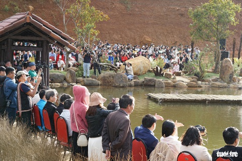 Có gì ở 'Măng Đen - Thiên đường hồng' mà cả ngàn du khách về thăm?- Ảnh 3. Du khách đứng xung quanh hồ Đam Bri xem trình diễn áo dài - Ảnh: TRẦN HƯỚNG