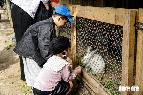 Nghỉ Tết dương lịch, trẻ con Hà Nội thích thú đi chăn thỏ, nhổ cà rốt- Ảnh 4. Bạn nhỏ thích thú chơi với thỏ - Ảnh: NGUYỄN HIỀN