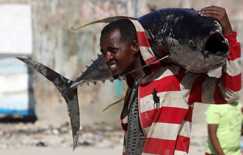 Người đàn ông mang vác trên vai một con cá lớn ở bãi biển Liido, thủ đô Mogadishu của Somalia trong ảnh chụp ngày 29-12 - Ảnh: REUTERS Người đàn ông mang vác trên vai một con cá lớn ở bãi biển Liido, thủ đô Mogadishu của Somalia trong ảnh chụp ngày 29-12 - Ảnh: REUTERS
